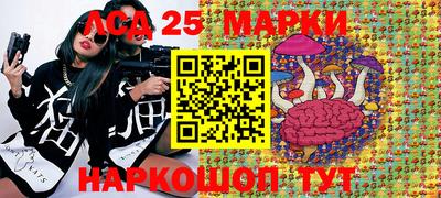 стаф Ярославль